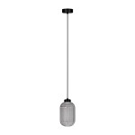 Lampa wisząca Silva D14 w kolorze czarnym i grafitowym z jedną oprawą E27. Posiada przezroczystą, żeberkowaną klosz w kształcie owalnym, zawieszona na cienkim, czarnym przewodzie. Montowana do sufitu, w prostym, minimalistycznym stylu.