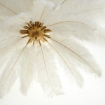 Lampa wisząca Emu z sześcioma gniazdami E14, złota podstawa z elementami w białych piórach. Widok z góry, ukazujący delikatne pióra rozłożone promieniście wokół centralnego mocowania. Idealna do nowoczesnych wnętrz.