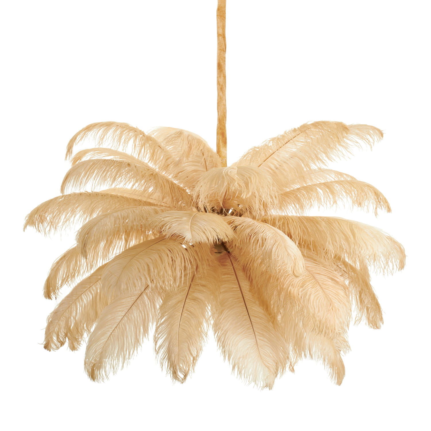 Lampa wisząca Emu w kolorze beżowym, z sześcioma miejscami na żarówki E14, z dekoracyjnymi, długimi piórami przypominającymi liście. Produkt zawieszony na cienkim, złotym przewodzie, z prostym tłem.
