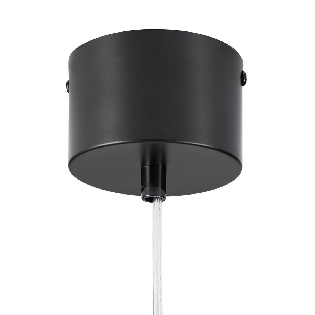 Lampa wisząca Piatto 3xE27 w kolorze czarnym z białym akcentem, z okrągłym, matowym kloszem i przezroczystym kablem. Ujęcie z dołu, pokazujące mocowanie do sufitu i detal konstrukcji. Idealna do nowoczesnych wnętrz.