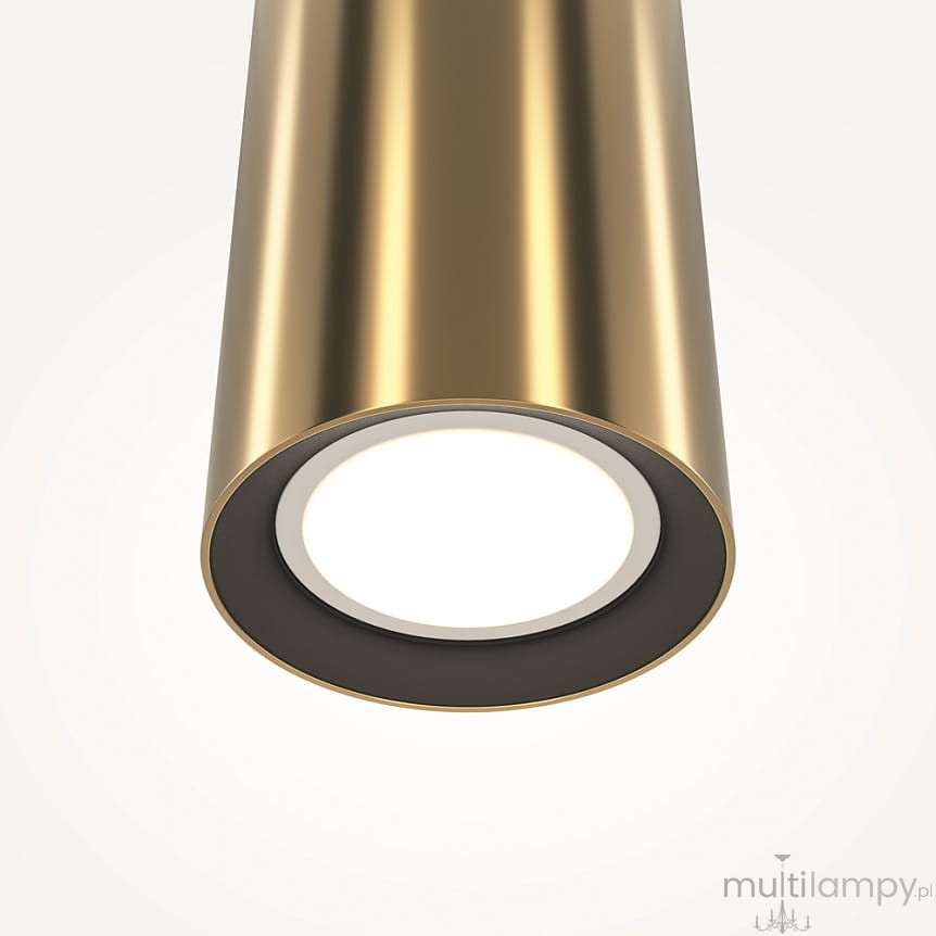 Lampa wisząca Pro Focus z mosiądzu z pojedynczym źródłem światła GU10. Ujęcie z dołu, ukazujące cylindryczny kształt w kolorze błyszczącego mosiądzu oraz okrągły, białym klosz. Tło jasne, bez wzorów.