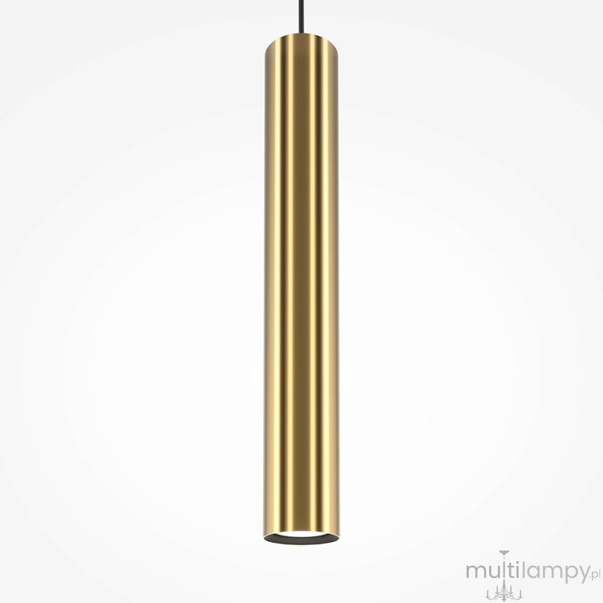 Lampa wisząca Pro Focus, mosiężna, w kształcie cylindrycznym. Ujęcie frontalne, zawieszona na czarnym przewodzie. Gładka, błyszcząca powierzchnia, pojedyncze źródło światła GU10. Proste, nowoczesne wzornictwo na jasnym tle.