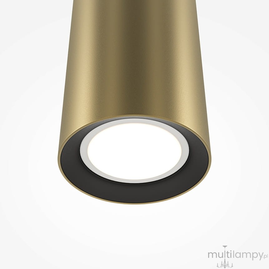 Lampa wisząca Pro Focus w kolorze złotym, z oprawą w kształcie cylindrycznym, z miejscem na żarówkę GU10. Widoczna czarna obwódka wokół źródła światła. Ujęcie z dołu, w zbliżeniu na detal klosza.
