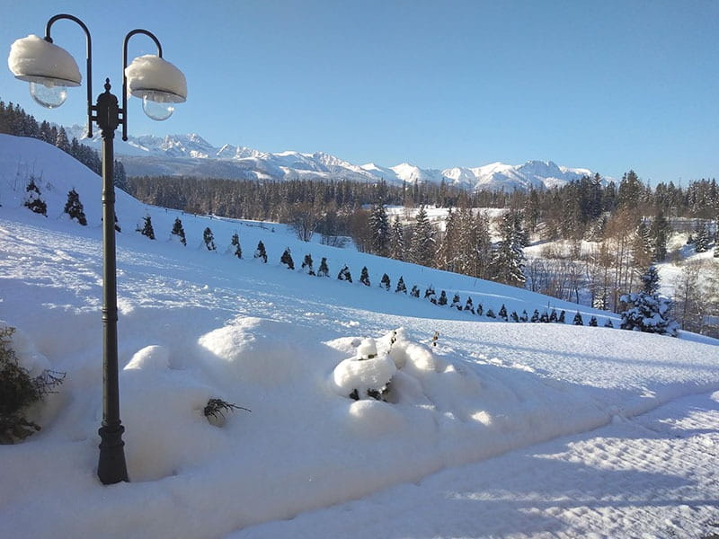 Czarna lampa ogrodowa stojąca Boston H220 z dwoma oprawami E27, umieszczona w zaśnieżonym otoczeniu. Lampa ma dwa szklane klosze, a w tle widoczne góry i zalesione zbocza. Śnieg pokrywa ziemię i roślinność.