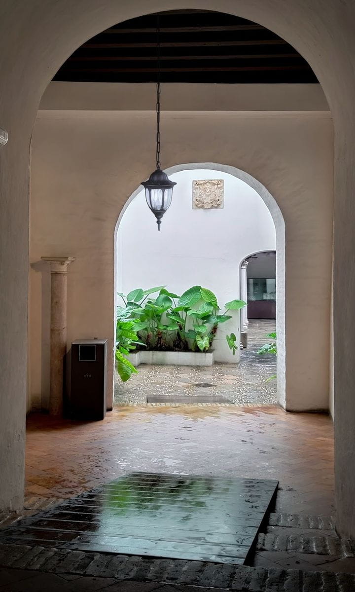 Czarna wisząca lampa ogrodowa Vasco K-5007H/N z oprawą na żarówkę E27, w klasycznym stylu, zawieszona w architektonicznym otworze. W tle widoczne zielone rośliny w donicy, podłoga z drewnianych desek.
