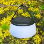 Lampa stołowa solarna LED Aure o mocy 2,2W, kolor czarny. Posiada okrągły, matowy klosz i panel słoneczny na górze. Zawieszona na czarnym uchwycie, w otoczeniu żółtych kwiatów. Wodoodporność IP44, ciepła barwa światła 2700K.
