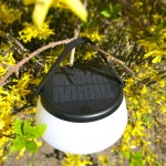 Lampa stołowa solarna LED Aure, czarna, z białym kloszem, zawieszona na gałęzi. Widoczny panel słoneczny na górze oraz przycisk włączania. Oświetlenie o ciepłej barwie 2700K, odporność IP44, idealna do ogrodu lub na taras.