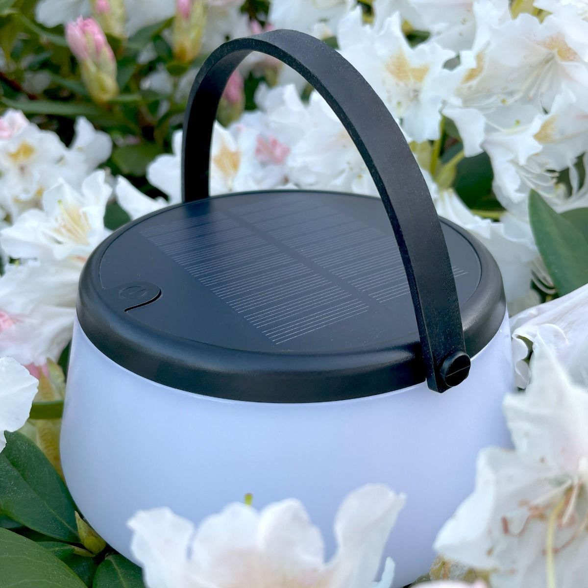Lampa stołowa solarna LED Aure o mocy 2,2W. Posiada czarną górną część z panelem słonecznym i uchwyt. Korpus jest biały, matowy. Umieszczona pośród białych kwiatów, co podkreśla jej zewnętrzny charakter. Wodoodporność IP44.