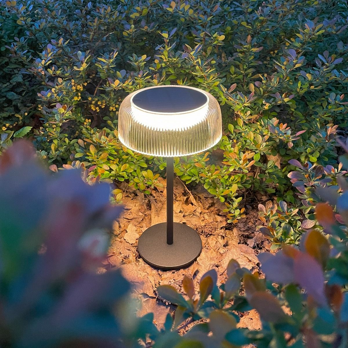 Czarna lampa stołowa solarna LED Bluet 2,5W z kloszem o żebrowanej fakturze, emitująca ciepłe światło 3000K. Ustawiona na tle zieleni, z metalową podstawą i widocznym panelem słonecznym na górze.