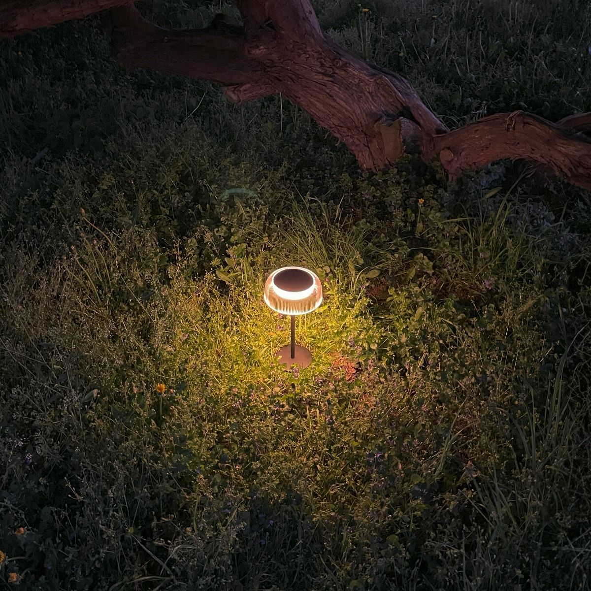 Lampa stołowa solarna LED Bluet o mocy 2,5W, kolor czarny, z okrągłym kloszem emitującym ciepłe światło 3000K. Ustawiona na trawie, w nocy, z widocznym efektem oświetlenia wokół podstawy. Wodoodporność IP44 zapewnia odporność na warunki atmosferyczne.