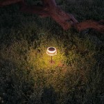 Lampa stołowa solarna LED Bluet o mocy 2,5W, kolor czarny, z okrągłym kloszem emitującym ciepłe światło 3000K. Ustawiona na trawie, w nocy, z widocznym efektem oświetlenia wokół podstawy. Wodoodporność IP44 zapewnia odporność na warunki atmosferyczne.