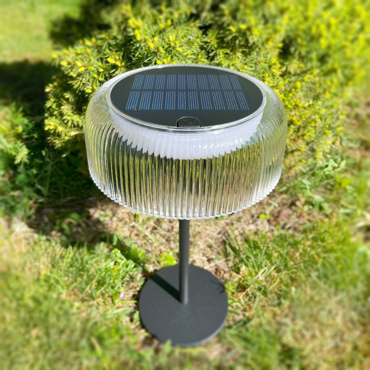 Lampa stołowa solarna LED 2,5W 3000K IP44 w kolorze czarnym, z przezroczystym kloszem w żłobienia. Ustawiona na metalowej podstawie, z panelem słonecznym na górze. W otoczeniu zieleni, na trawie.