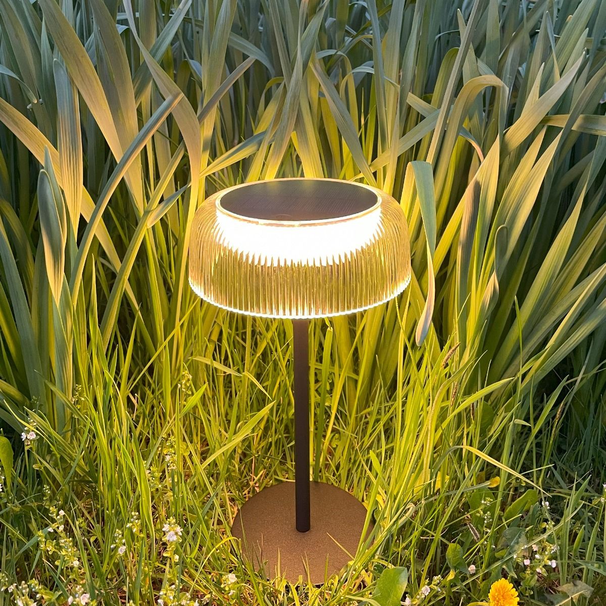 Czarna lampa stołowa solarna LED Bluet 2,5W 3000K IP44 z przezroczystym kloszem, umieszczona na zielonej trawie. Klosz z pionowymi żłobieniami, emitujący ciepłe światło, na prostym, okrągłym stelażu.