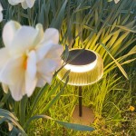 Lampa stołowa solarna LED Bluet o mocy 2,5W, kolor czarny, z okrągłym kloszem i podświetleniem na obrzeżu. Ujęcie z boku, produkt umieszczony na trawie, w otoczeniu białych kwiatów i zielonej trawy. Wodoodporność IP44.