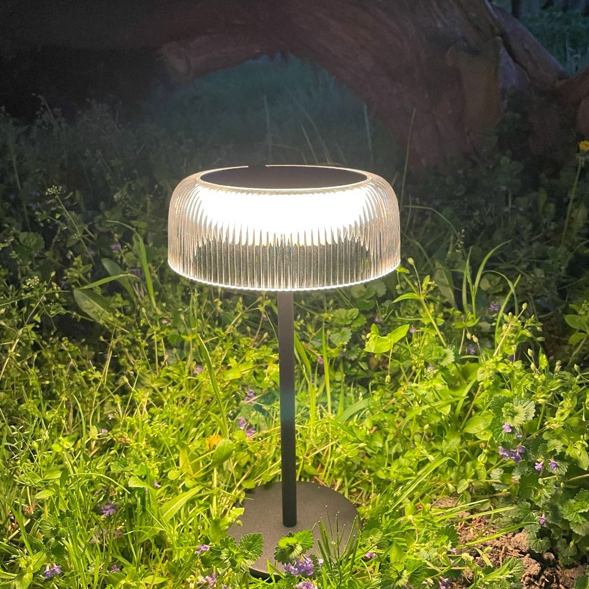 Czarna lampa stołowa solarna LED Bluet z kloszem o fakturze żłobkowanej, emitująca ciepłe światło 3000K. Ustawiona na zielonej trawie, z widocznym metalowym stelażem i podstawą. Wysokość lampy wynosi około 30 cm.