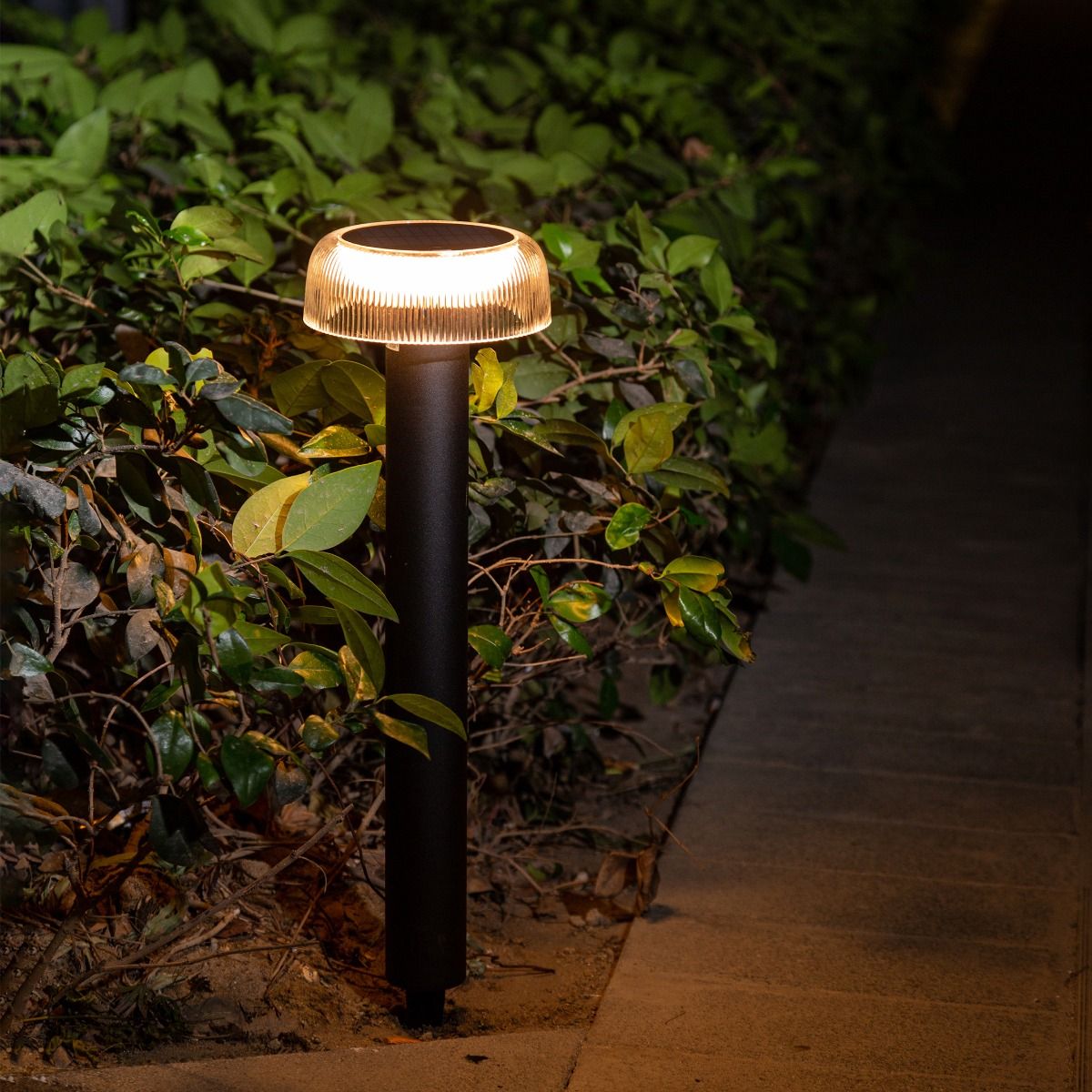 Lampa ogrodowa solarna Bluet LED 2,5W 3000K IP44 w kolorze czarnym, stojąca. Klosz z przezroczystego materiału, emitująca ciepłe światło, umieszczona wśród zieleni na ścieżce. Prosta konstrukcja, idealna do oświetlenia ogrodu lub alejek.