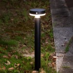 Lampa ogrodowa solarna Carli, LED 4,5W, kolor czarny. Stojąca konstrukcja z okrągłą głowicą i czujnikiem, emitująca ciepłe światło (3000K). Umieszczona na trawie obok ścieżki, na tle zieleni i kamiennego chodnika. IP44, odporna na warunki atmosferyczne.