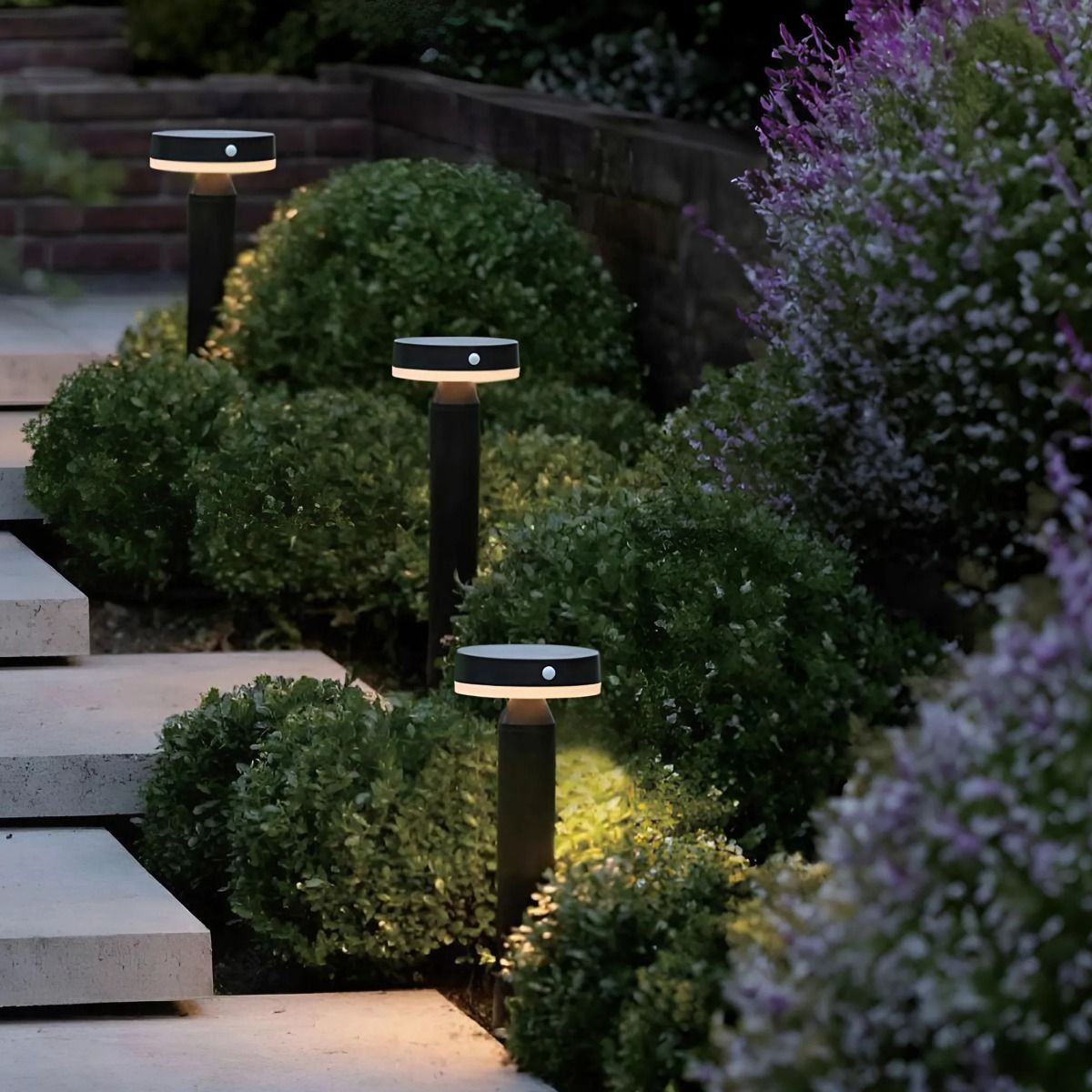 Lampa ogrodowa solarna Carli w kolorze czarnym, z diodami LED 4,5W, o ciepłej barwie 3000K. Zainstalowana na ścieżce, z cylindrycznym korpusem i okrągłym kloszem, otaczają ją zielone krzewy. Wysoka odporność na warunki atmosferyczne (IP44).