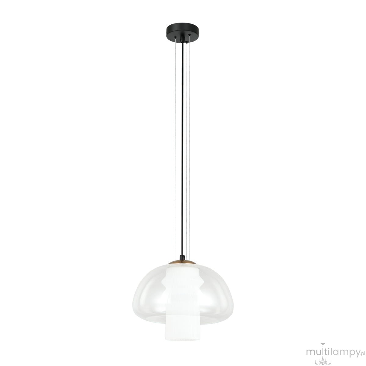 Lampa wisząca Feder z jednym gniazdem E27, czarna, z przezroczystym kloszem o zaokrąglonym kształcie. Długa, metalowa linka w kolorze czarnym. Klosz z białym elementem wewnętrznym, zwisający z sufitu. Tło białe.