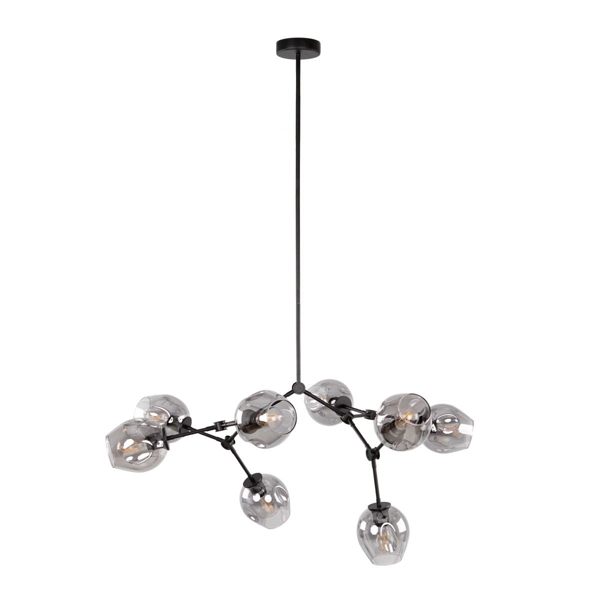 Lampa wisząca Ferral 8xE27 w kolorze czarnym z dymionymi kloszami. Produkt w kształcie rozgałęzienia z siedmioma szklanymi, przezroczystymi kloszami, zawieszony na cienkim, czarnym przewodzie, w stylu nowoczesnym.