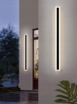 Kinkiet elewacyjny LED Durango 100, czarny, o prostokątnym kształcie. Dwa długie paski LED emitują światło o temperaturze barwowej 4500K. Zainstalowany na zewnętrznej ścianie, obok drzwi, na tle roślinności.