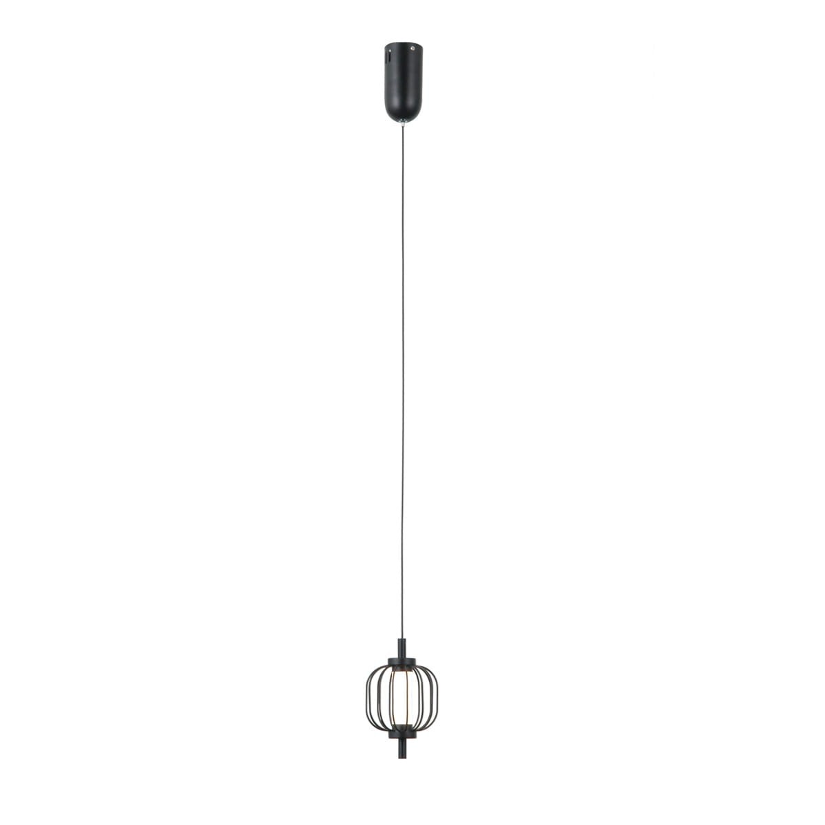 Czarna lampa wisząca Pedro z jedną żarówką LED 4W, o nowoczesnym designie. Wisi na cienkim przewodzie, z metalowym kloszem w formie siatki, podkreślającym źródło światła. Prosta forma, idealna do minimalistycznych wnętrz.