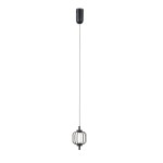 Czarna lampa wisząca Pedro z jedną żarówką LED 4W, o nowoczesnym designie. Wisi na cienkim przewodzie, z metalowym kloszem w formie siatki, podkreślającym źródło światła. Prosta forma, idealna do minimalistycznych wnętrz.