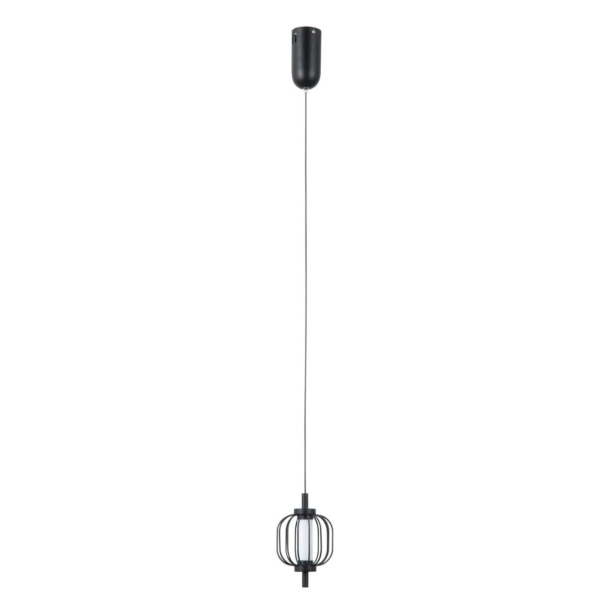 Czarna lampa wisząca Pedro z jednym źródłem światła LED 4W, z metalowym kloszem w formie ażurowej siatki. Produkt zawieszony na cienkim przewodzie, z oprawą montażową na suficie. Prosta forma, idealna do nowoczesnych wnętrz.
