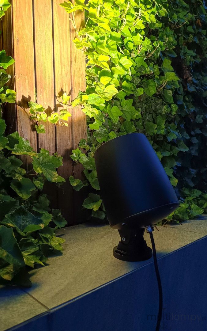 Lampa dogruntowa LED Big Ben 30W 4000K w kolorze czarnym, umieszczona na płaskiej powierzchni, skierowana w stronę drewnianej ściany z zielonymi liśćmi. Produkt ma zaokrąglony kształt i solidną podstawę, a kabel zasilający jest widoczny.