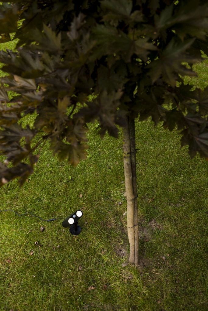 Lampa solarna Bingo 8,2W LED 5000K w kolorze czarnym, wbijana w ziemię, umieszczona obok pnia drzewa. Widoczne dwa okrągłe źródła światła na czarnej podstawie, otoczone zieloną trawą.