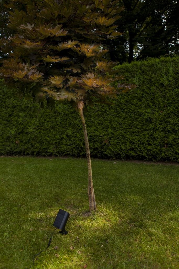 Lampa solarna Bingo wbijana LED 8,2W 5000K w kolorze czarnym, umieszczona na trawie obok drzewa. Widoczny panel słoneczny oraz podstawa lampy. Tło to zielony żywopłot i trawa.