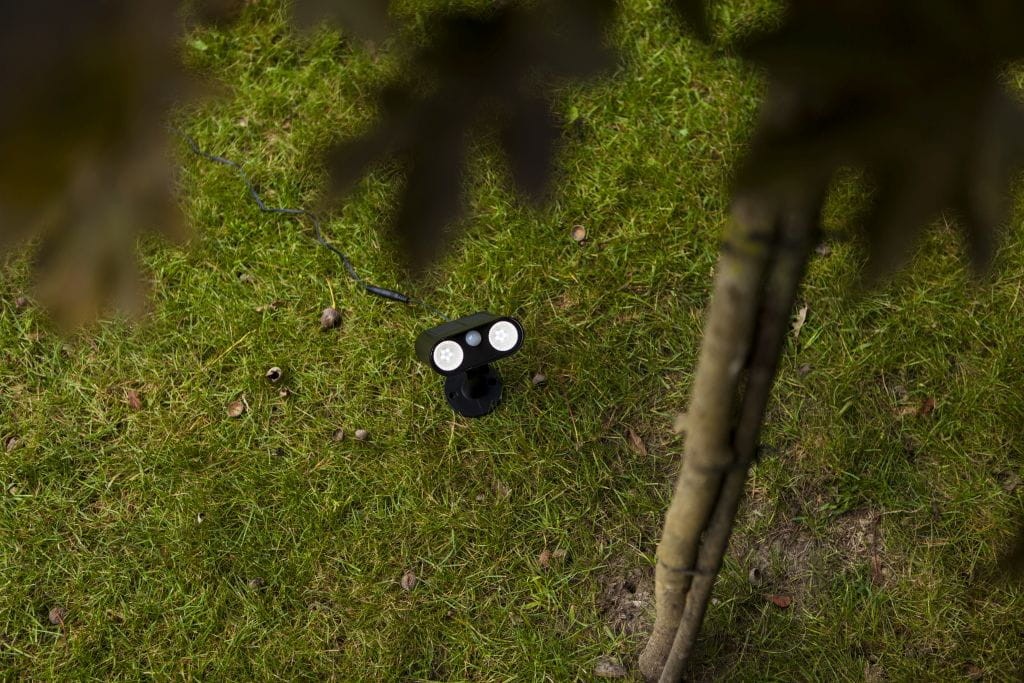 Lampa solarna Bingo wbijana, czarna, z dwiema diodami LED, umieszczona na zielonej trawie. Ujęcie z góry, ukazujące kabel łączący lampę z energią słoneczną. W tle widoczna gałąź drzewa.