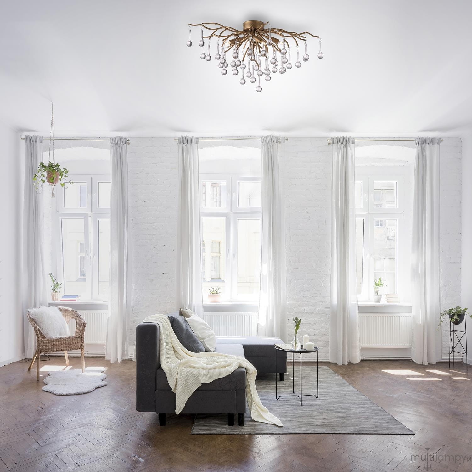 Lampa sufitowa Icicle w postarzanym mosiądzu, z 4 źródłami G9, zawieszona na białym tle. Posiada dekoracyjne ramiona w kształcie gałęzi, z przeszklonymi kulkami. Wnętrze w jasnych barwach, z szarym narożnikiem i roślinami w tle.