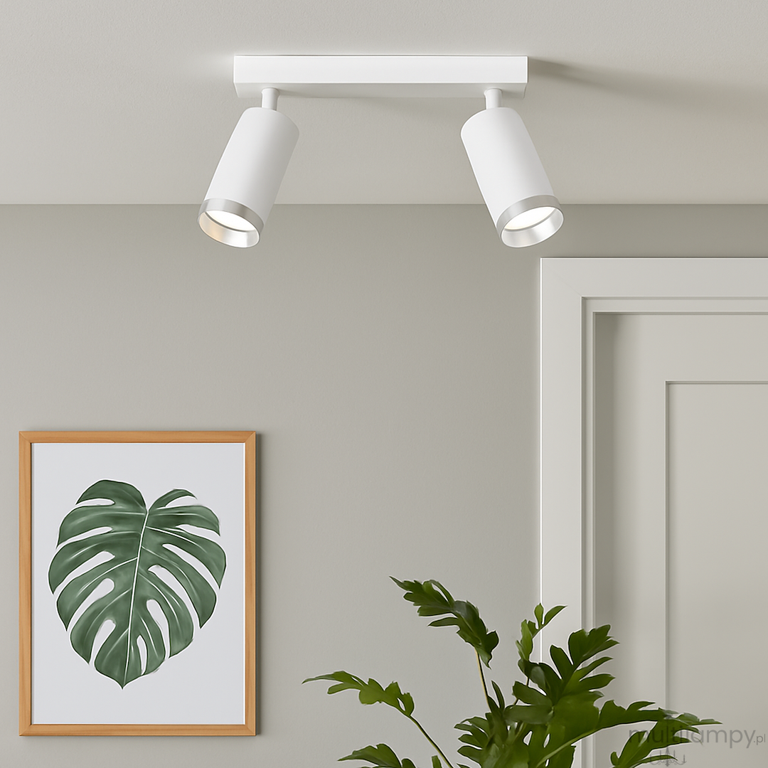 Lampa sufitowa Mica z dwoma reflektorami, biała z chromowanymi detalami, zamontowana na prostokątnej podstawie. Reflektory skierowane w różne strony, widoczna w aranżacji z obrazem roślinnym na ścianie i doniczką z zieloną rośliną.