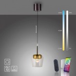 Lampa wisząca Q-kon z pilotem LED 9W CCT w kolorze złotym, z przezroczystym kloszem. Zawieszona na cienkim przewodzie, z regulacją wysokości. Obok pilot i telefon z aplikacją do sterowania. Tło szare, minimalistyczne.