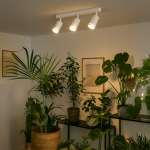 Lampa sufitowa Pipe Ring w kolorze białym, z trzema ruchomymi punktami świetlnymi na metalowym stelażu. Ujęcie z góry, zamontowana na suficie w otoczeniu roślin doniczkowych i obrazów na ścianie.