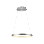 Lampa wisząca LED Hoop koło o mocy 37W w kolorze aluminium, z ciepłym światłem 3000K. Zawieszona na dwóch cienkich linkach, ma okrągły kształt z delikatnym, matowym wykończeniem. Idealna do nowoczesnych wnętrz.