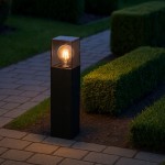 Lampa stojąca ogrodowa Denver H30 w kolorze czarnym z przezroczystą osłoną, z widoczną żarówką E27, umieszczona na kostce brukowej, w otoczeniu zielonych krzewów. Produkt stoi pionowo, w nocy, oświetlając ścieżkę.