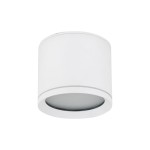 Lampa sufitowa Vivo 1xGX53 w kolorze białym, wykonana z metalu, o okrągłym kształcie. Produkt montowany na suficie, z widoczną przezroczystą częścią, umożliwiającą emisję światła. Klasa ochrony IP44 zapewnia odporność na wodę i kurz.