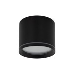 Lampa sufitowa Vivo 1xGX53 IP44 w kolorze czarnym, o cylindrycznym kształcie. Wykonana z matowego materiału, z białą osłoną klosza. Ujęcie z dołu, produkt zamontowany na suficie, bez widocznych dodatkowych elementów.