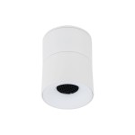 Lampa sufitowa Spot 1xLED 10W CCT w kolorze białym, o cylindrycznym kształcie. Widoczna soczewka z siatką w środku, montowana na suficie. Prosty design, idealna do nowoczesnych wnętrz.