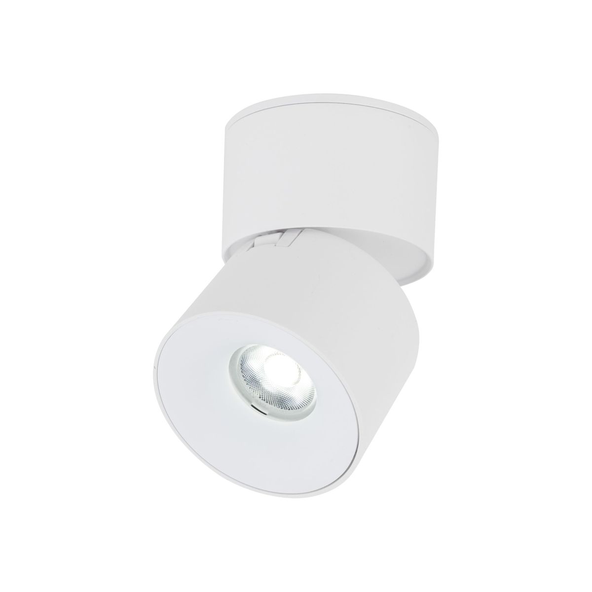 Lampa sufitowa spot w kolorze białym, z jedną diodą LED o mocy 10W. Okrągła głowica lampy zamontowana na płaskiej podstawie, z możliwością regulacji kąta. Prosty, nowoczesny design, idealna do oświetlenia wnętrz.