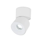 Lampa sufitowa spot w kolorze białym, z jedną diodą LED o mocy 10W. Okrągła głowica lampy zamontowana na płaskiej podstawie, z możliwością regulacji kąta. Prosty, nowoczesny design, idealna do oświetlenia wnętrz.