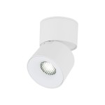 Lampa sufitowa Spark w kolorze białym, typu spot, z jednym źródłem światła LED 10W. Okrągła głowica z widoczną siatką reflektora, zamontowana na płaskim mocowaniu. Ujęcie z boku, ukazujące kąt nachylenia lampy.