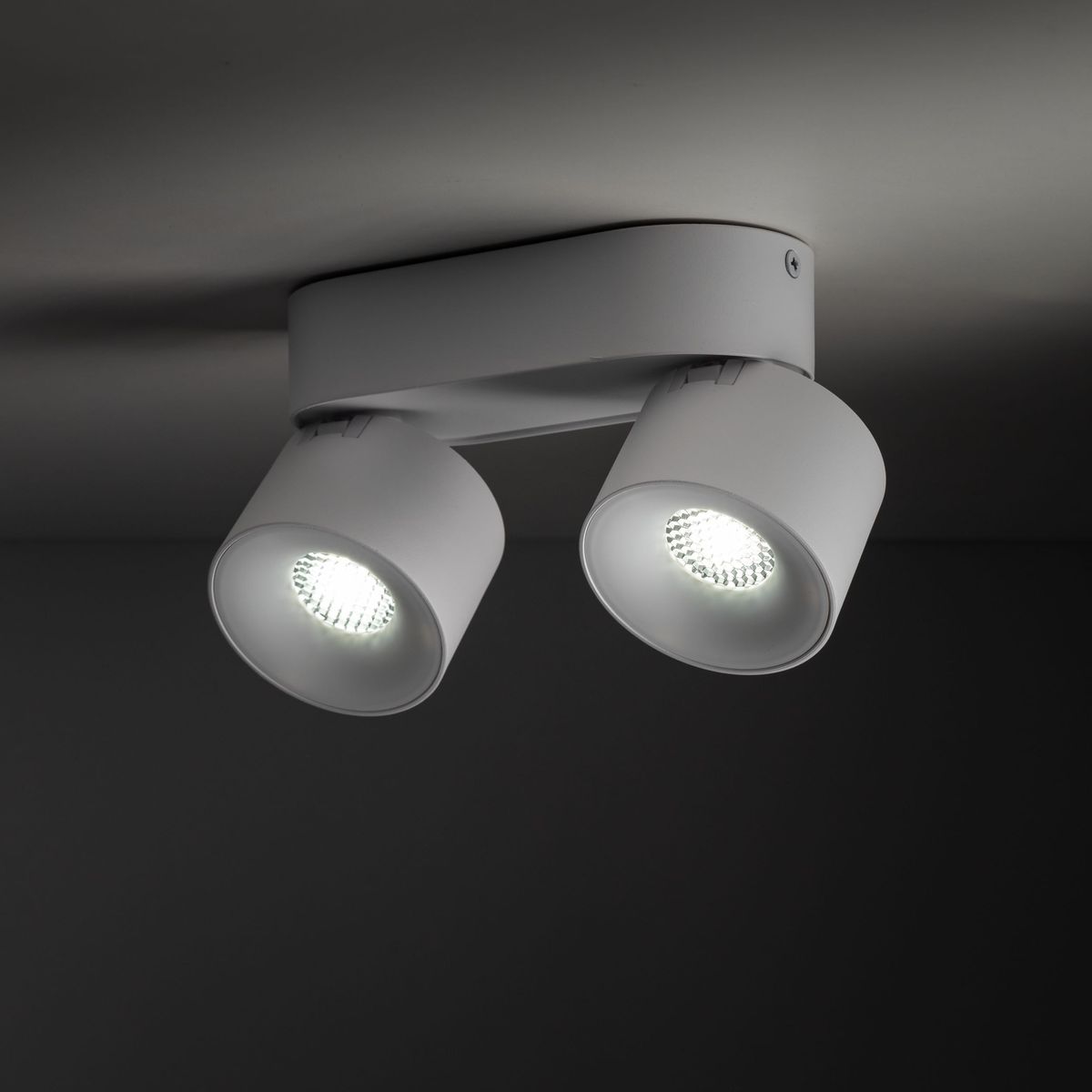 Lampa sufitowa Spark z dwoma reflektorami LED w kolorze białym, umocowana na prostokątnej podstawie. Reflektory mają okrągły kształt i emitują jasne światło. Ujęcie z dołu, pokazujące detale konstrukcji i kąt ustawienia.