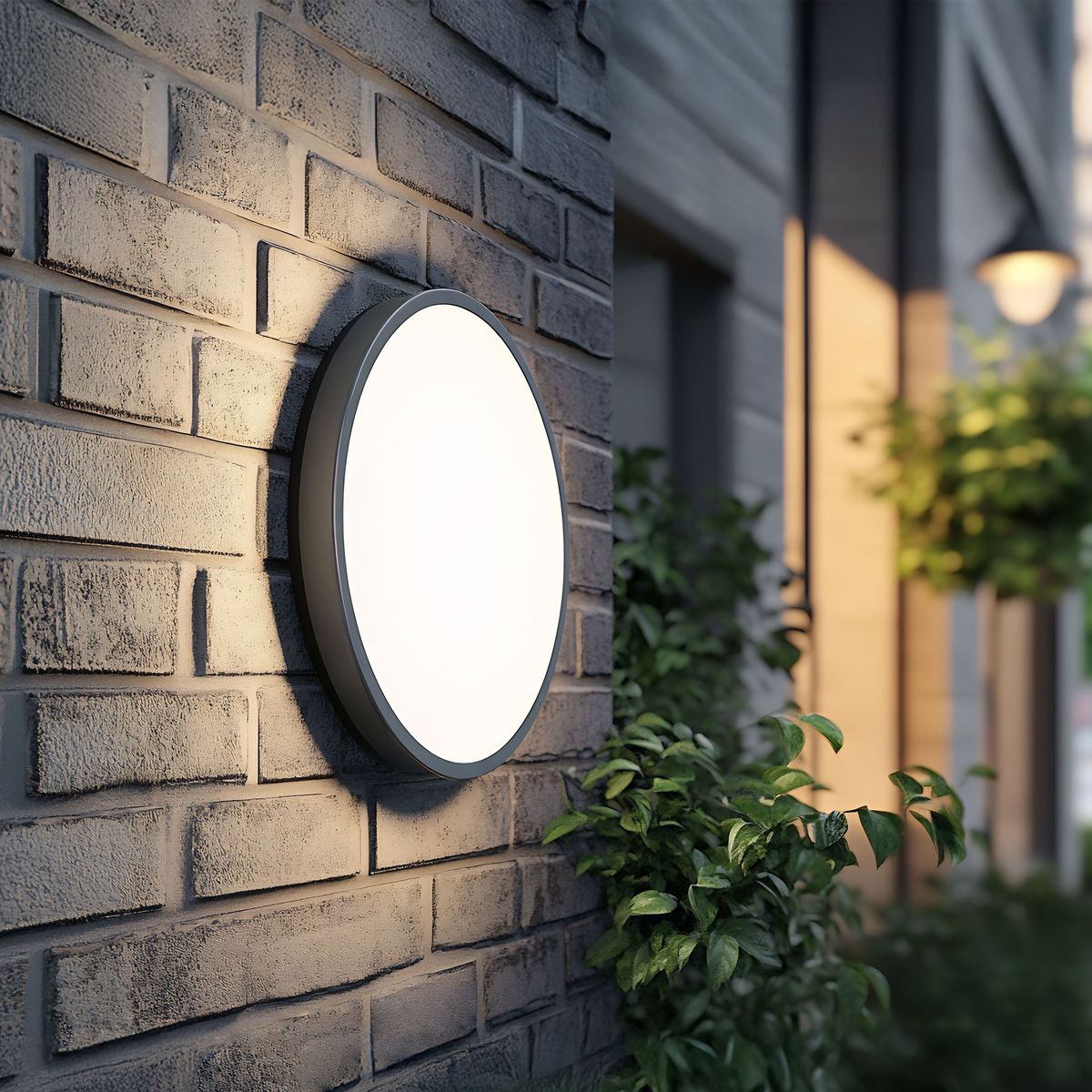 Kinkiet Sferis 1xLED 18W IP54 w kolorze czarnym, umieszczony na ceglanej ścianie. Okrągły klosz z białym szkłem emituje światło, otoczony zielonymi roślinami, co tworzy przyjemny klimat. Zamontowany na zewnątrz, idealny do oświetlenia przestrzeni.