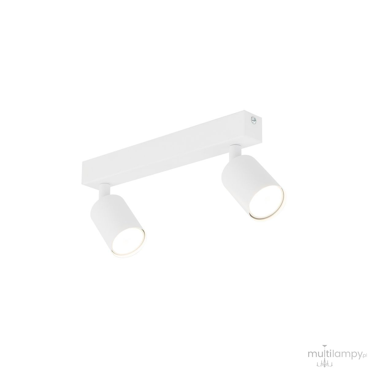 Lampa sufitowa Nex z dwoma spotami, kolor biały. Posiada dwa okrągłe klosze zamontowane na prostokątnej podstawie. Klosze są ruchome, co umożliwia kierowanie światła w różne strony. Prosta, nowoczesna konstrukcja, idealna do oświetlenia wnętrz.