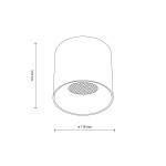 Lampa sufitowa Blaze z jedną diodą LED 30W w kolorze białym, o cylindrycznym kształcie. Wymiary: wysokość 110 mm, średnica 118 mm. Ujęcie z góry, z widoczną siatką w dolnej części. Prosty design, idealna do nowoczesnych wnętrz.