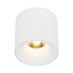 Lampa sufitowa Blaze w kolorze białym, o cylindrycznym kształcie, z wbudowanym źródłem światła LED 30W CCT. Widoczny złoty detal wewnątrz klosza. Produkt zamontowany na suficie, emitujący ciepłe światło.