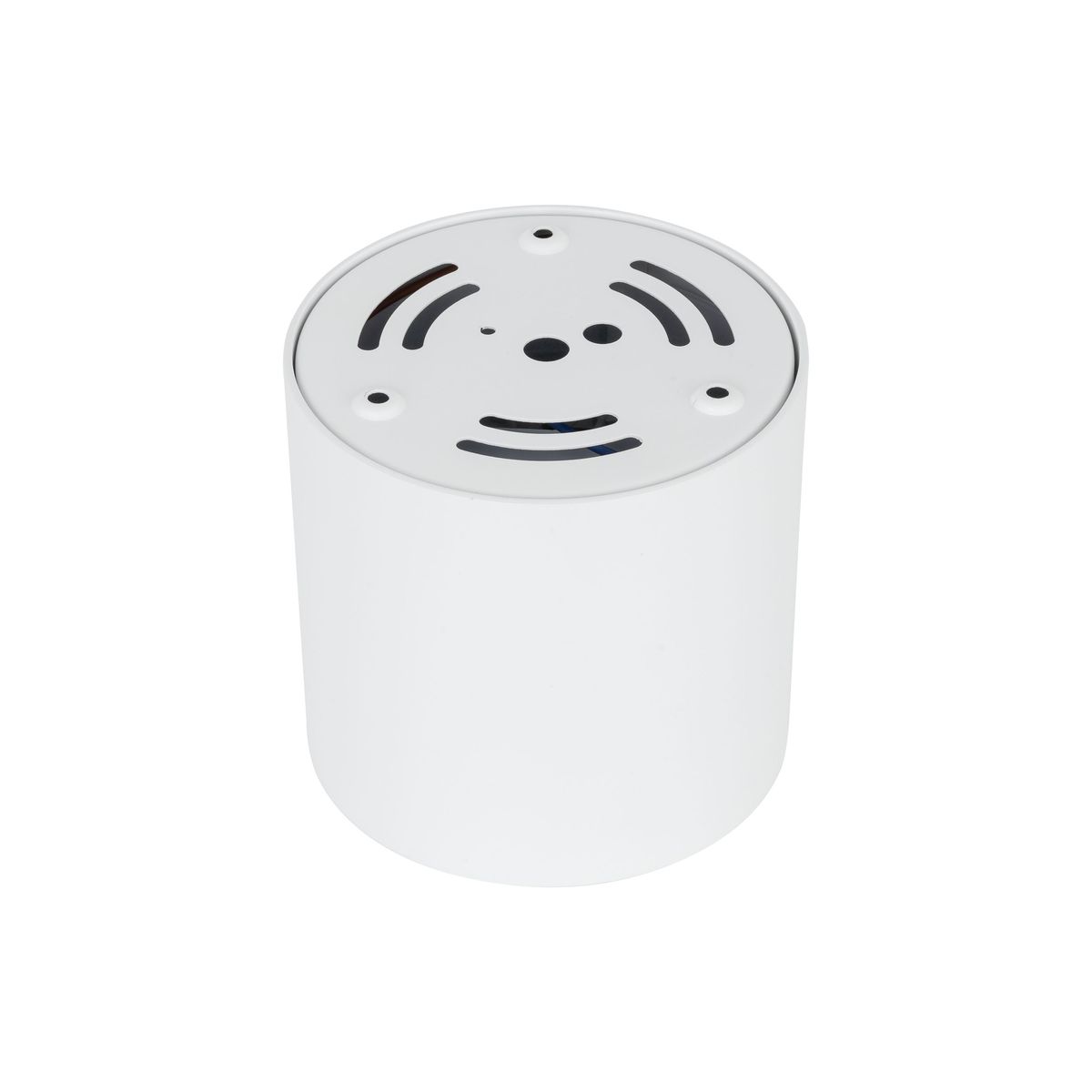 Lampa sufitowa Blaze 1xLED 30W CCT w białym kolorze, cylindryczny kształt, gładka powierzchnia. Widoczny górny detal z otworami wentylacyjnymi oraz miejscem na montaż. Produkt stoi na płaskiej powierzchni.